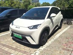 BYD Seagull 305km Vitality Edition - ფოტო 1