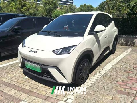 2025 BYD Seagull 305km Vitality Edition - ავტომობილი ჩინეთიდან