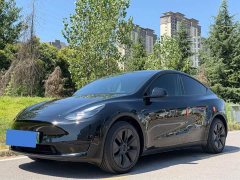 Tesla Model Y Rear-Wheel Drive - ფოტო 1