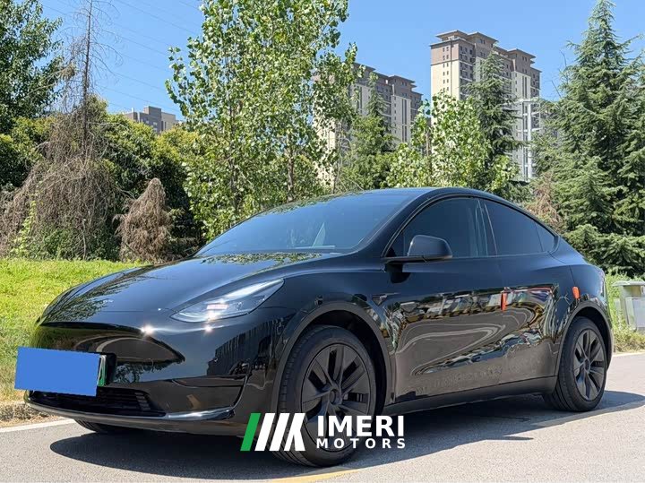 Tesla Model Y Rear-Wheel Drive