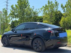 Tesla Model Y Rear-Wheel Drive - ფოტო 12