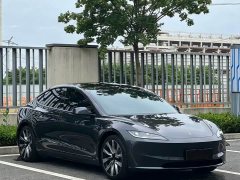 Tesla Model 3 2023 Long Range All-Wheel Drive - ფოტო 2