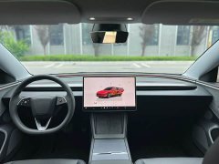 Tesla Model 3 2023 Long Range All-Wheel Drive - ფოტო 6