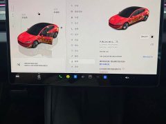Tesla Model 3 2023 Long Range All-Wheel Drive - ფოტო 9