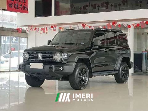 2024 Tank 300 2.0T Conqueror - ავტომობილი ჩინეთიდან