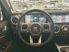 Tank 300 2.0T Conqueror - ფოტო 19