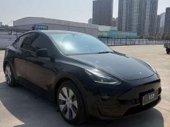 Tesla Model Y Rear-Wheel Drive - ფოტო 3