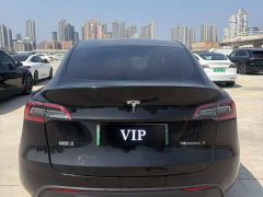 Tesla Model Y Rear-Wheel Drive - ფოტო 7