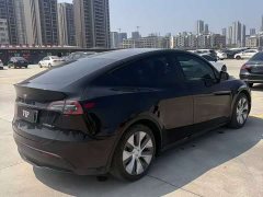 Tesla Model Y Rear-Wheel Drive - ფოტო 9