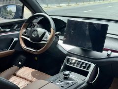 BYD Tang New Energy 2021 DM-i 112KM Premium Edition - ფოტო 3