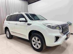 Haval H9 2.0T Gasoline 4WD Premium 5-Seater - ფოტო 3