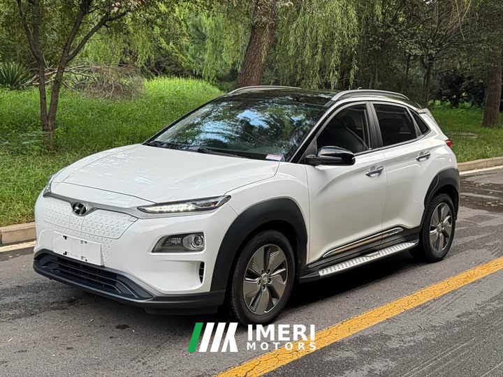 Hyundai EV GLS Edition