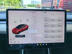 Tesla Model 3 2020 Facelift Standard Range RWD Upgrade - ფოტო 14