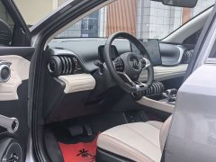 BYD Yuan Plus Glory Edition 510KM Leading - ფოტო 11