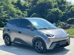 BYD Seagull Glory Edition 305km Freedom Version - ფოტო 3