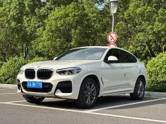 BMW X4 xDrive25i M - ფოტო 1