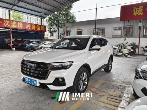 2021 Haval H6 National Trend 1.5T Automatic Champion Edition - ავტომობილი ჩინეთიდან