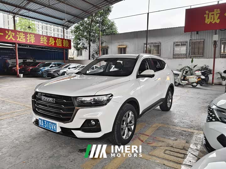 Haval H6 National Trend 1.5T Automatic Champion Edition