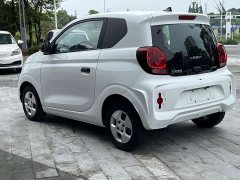 SAIC Corey Wei CLEVER 302km All-Purpose Edition - ფოტო 5
