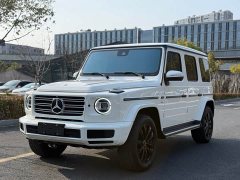 Mercedes-Benz G-Class G 500 - ფოტო 1
