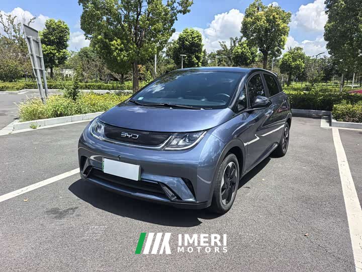 BYD Dolphin 420km Freedom Edition - ავტომობილი ჩინეთიდან