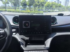 BYD Dolphin 420km Freedom Edition - ფოტო 14