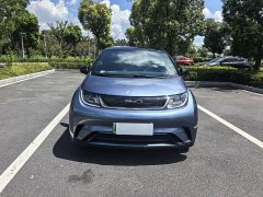 BYD Dolphin 420km Freedom Edition - ფოტო 2