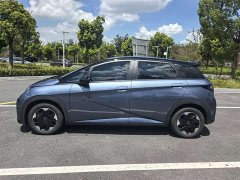 BYD Dolphin 420km Freedom Edition - ფოტო 4