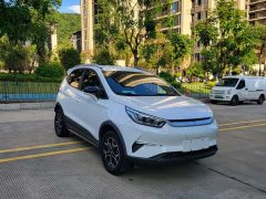 BYD Yuan Pro Lifetime Edition - ფოტო 3
