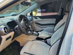 BYD Yuan Pro Lifetime Edition - ფოტო 4