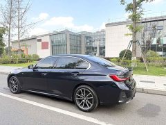 BMW 3 Series 320Li M Sport Package - ფოტო 8
