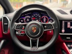 Porsche 2019 Cayenne 3.0T - ფოტო 13