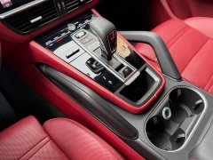 Porsche 2019 Cayenne 3.0T - ფოტო 17