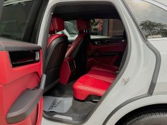 Porsche 2019 Cayenne 3.0T - ფოტო 20