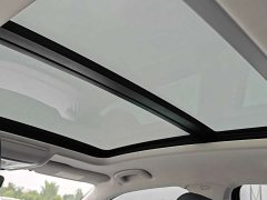 Volkswagen Passat 330TSI Starry Sky Elite - ფოტო 10