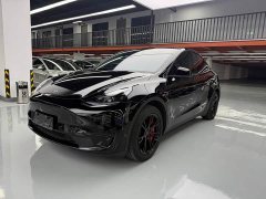 Tesla Model Y Rear-Wheel Drive - ფოტო 1