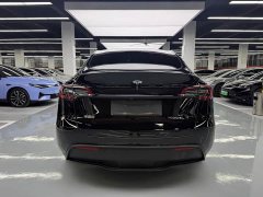 Tesla Model Y Rear-Wheel Drive - ფოტო 14