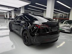Tesla Model Y Rear-Wheel Drive - ფოტო 15