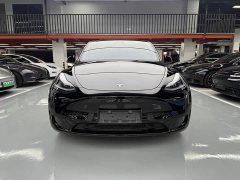 Tesla Model Y Rear-Wheel Drive - ფოტო 2