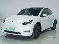 Tesla Model Y Rear-Wheel Drive - ფოტო 1