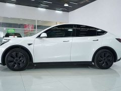 Tesla Model Y Rear-Wheel Drive - ფოტო 2