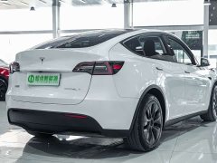 Tesla Model Y Rear-Wheel Drive - ფოტო 3
