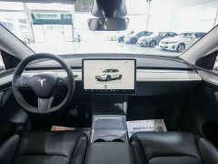 Tesla Model Y Rear-Wheel Drive - ფოტო 6