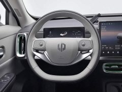 Leapmotor B10 510 Pleasure Edition - ფოტო 11