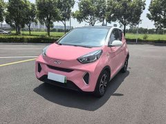 Chery Ant 2021 150,000 Yuan Ant Fan Edition New Ant Cool Version Ternary Lithium - ფოტო 1