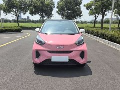 Chery Ant 2021 150,000 Yuan Ant Fan Edition New Ant Cool Version Ternary Lithium - ფოტო 2