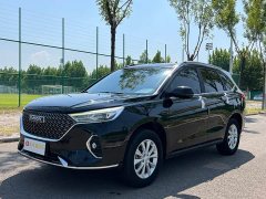 Haval M6 PLUS 1.5T DCT Luxury Smart Connected Edition - ფოტო 1