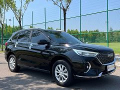 Haval M6 PLUS 1.5T DCT Luxury Smart Connected Edition - ფოტო 3