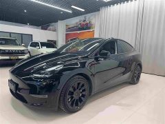 Tesla Model Y Standard Range RWD - ფოტო 1