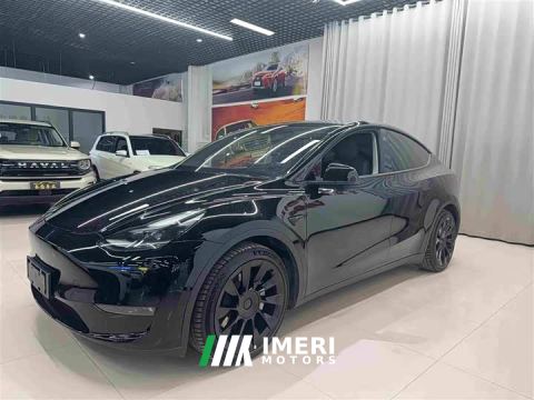 2021 Tesla Model Y Standard Range RWD - автомобиль из Китая